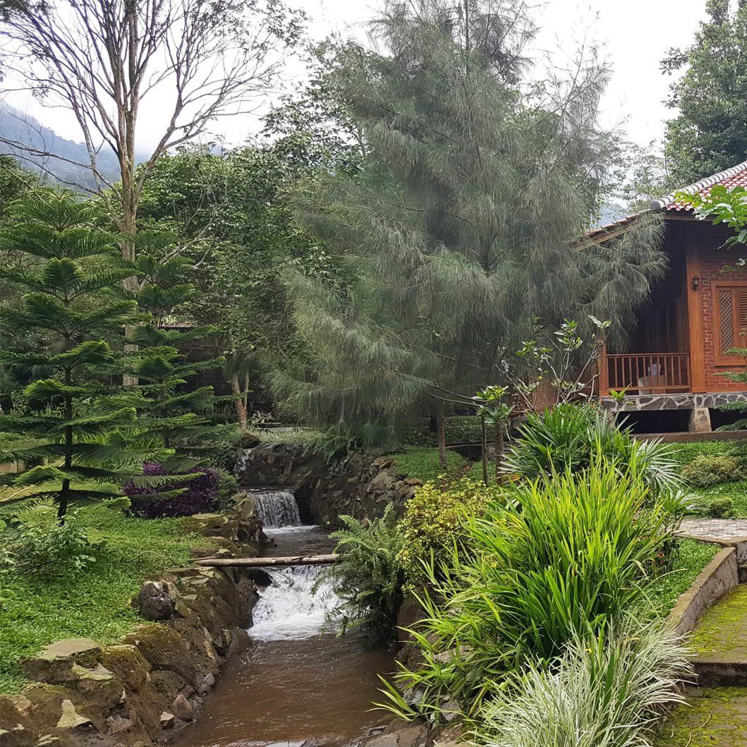 Odoo • Text and Image