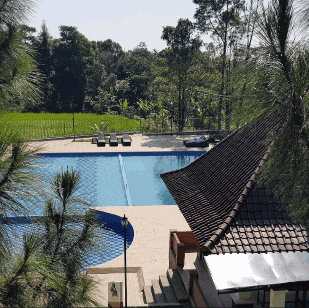 Odoo • Image and Text