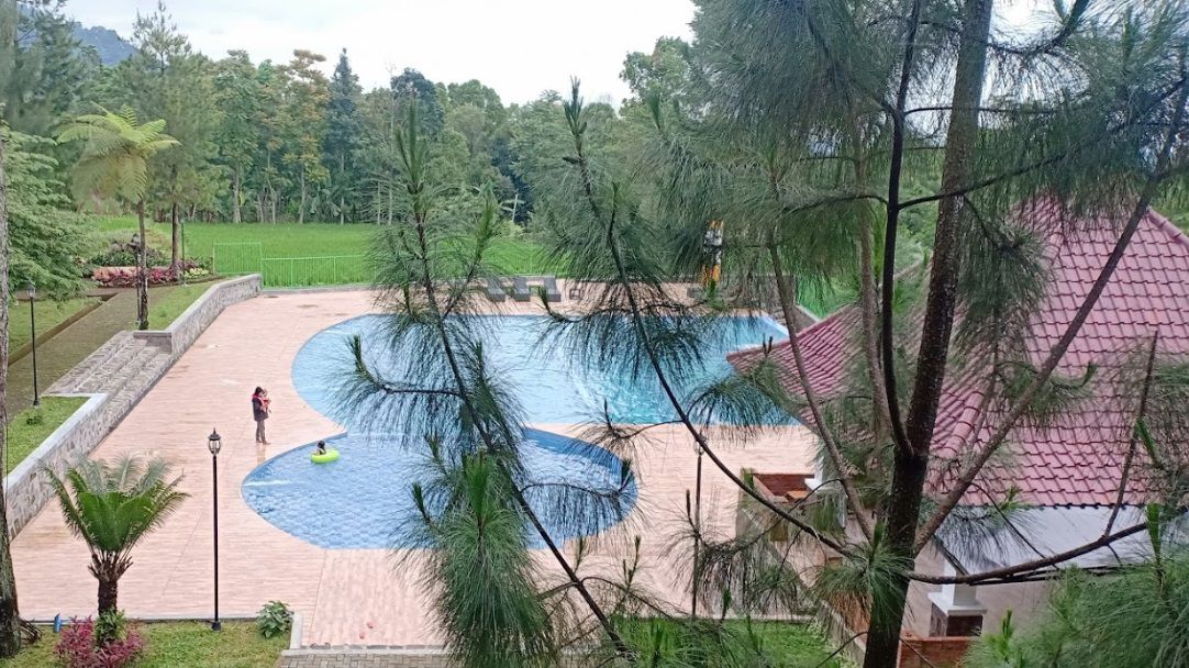 Odoo • Image and Text