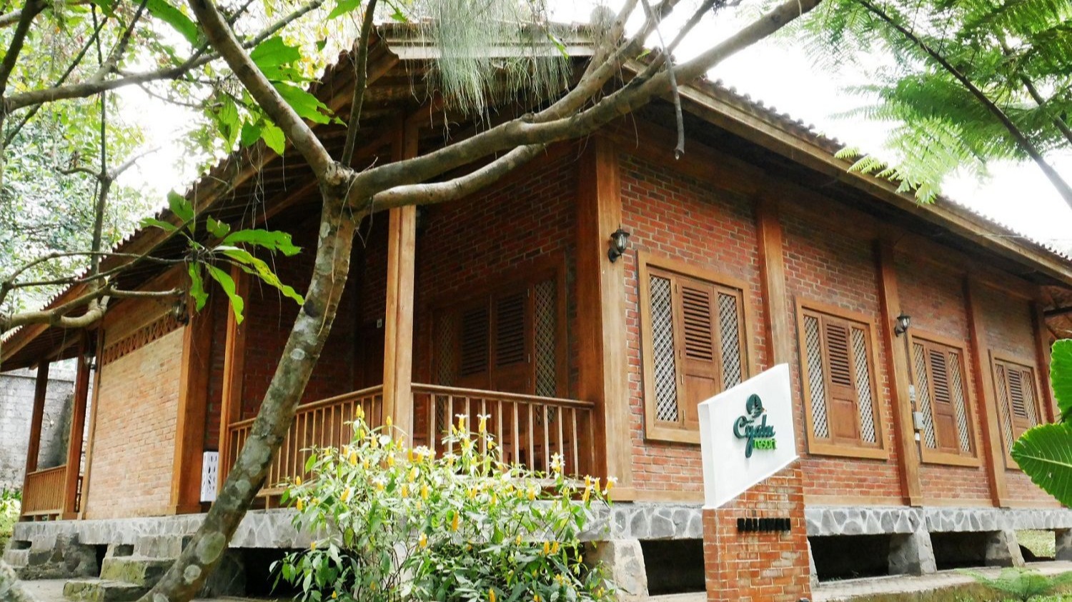 Odoo • Image and Text