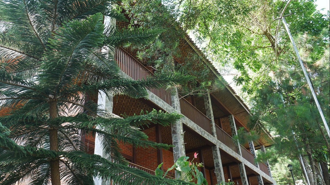 Odoo • Text and Image