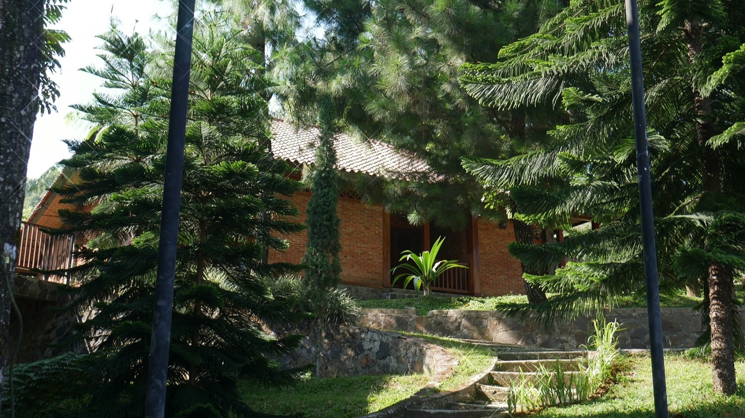 Odoo • Image and Text