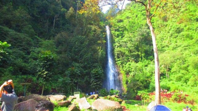 Odoo • Image and Text