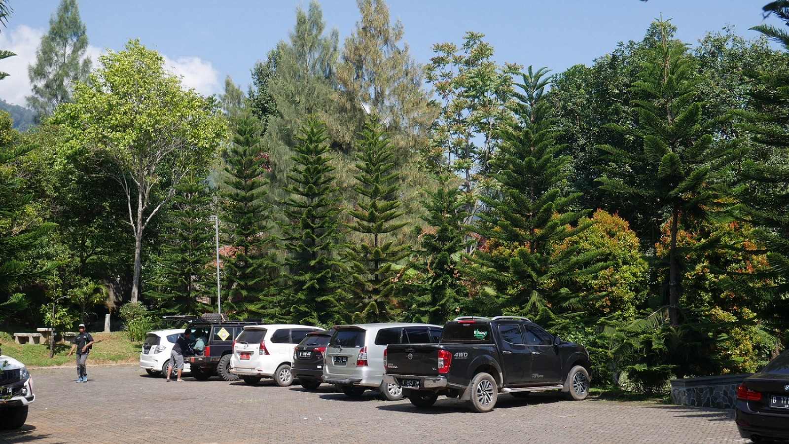 Odoo • Image and Text