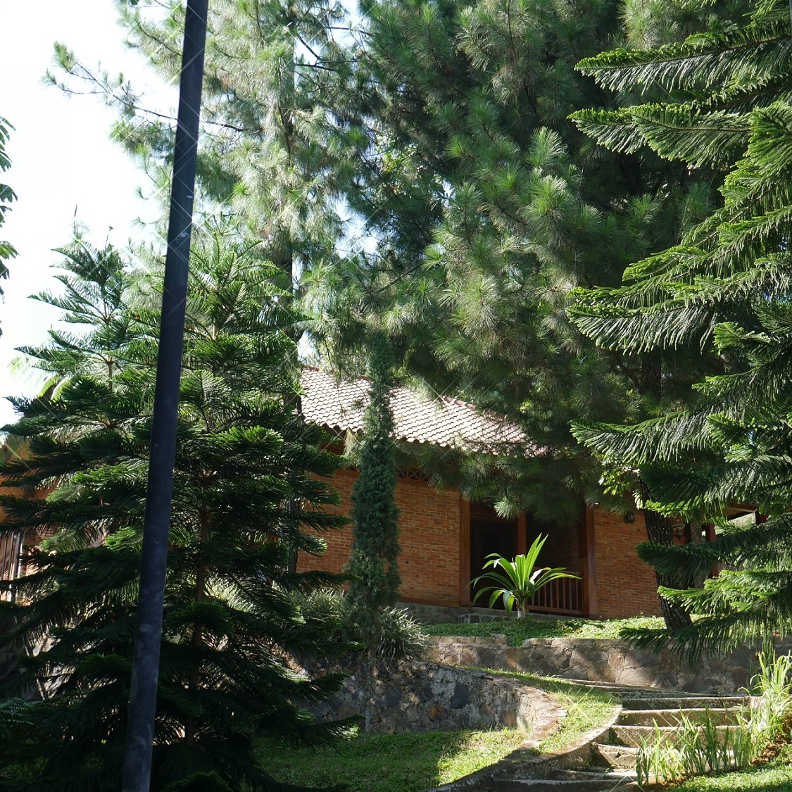 Odoo • Text and Image